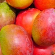 tokobuahmangga