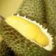 juragan duren