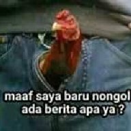yogipradita