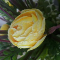 DaftarD