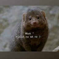 Tobii